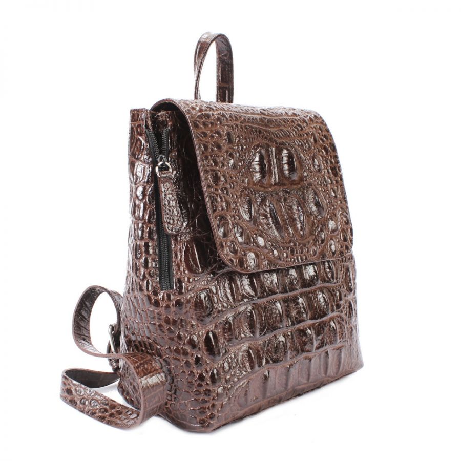 Dark Brown Somewhere Backpack