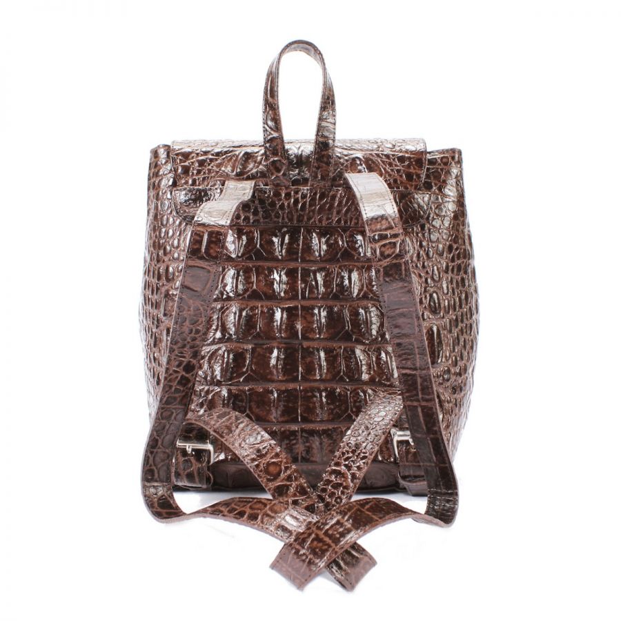Dark Brown Somewhere Backpack
