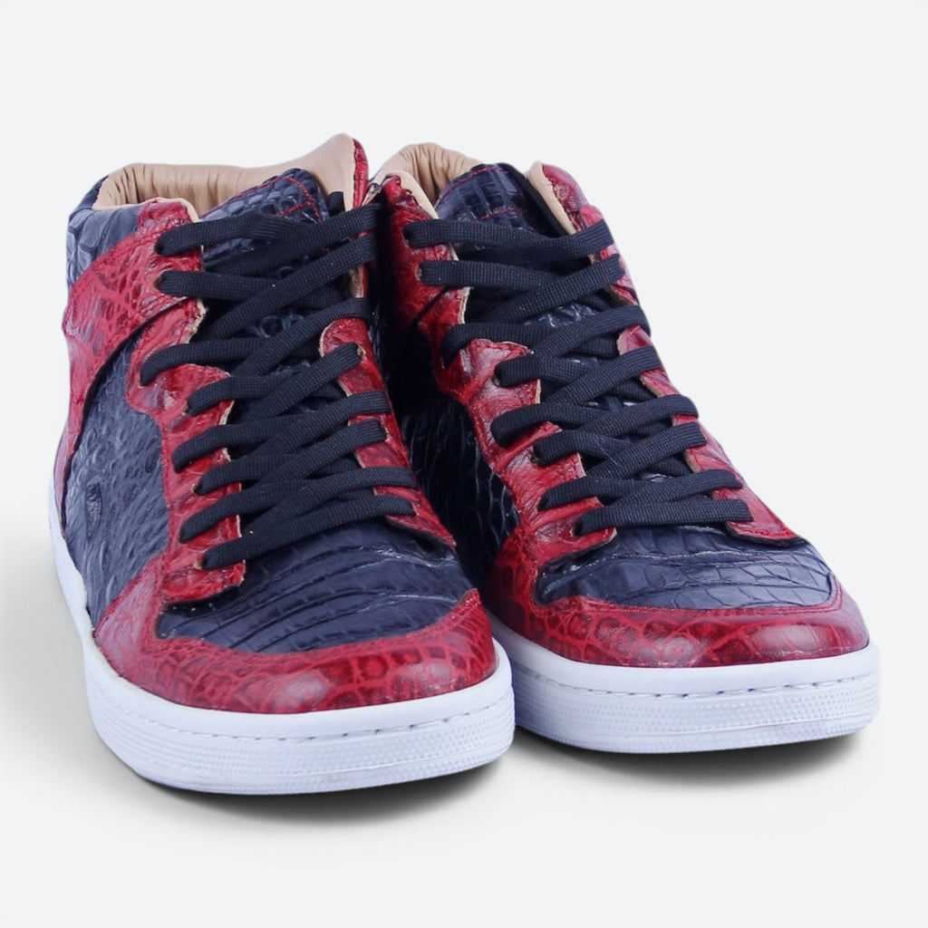 Dunk Hi Sneakers