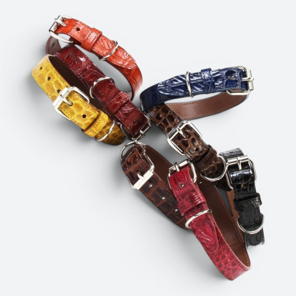 Exotic Pet Collar