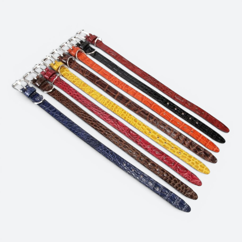 Exotic Pet Collar