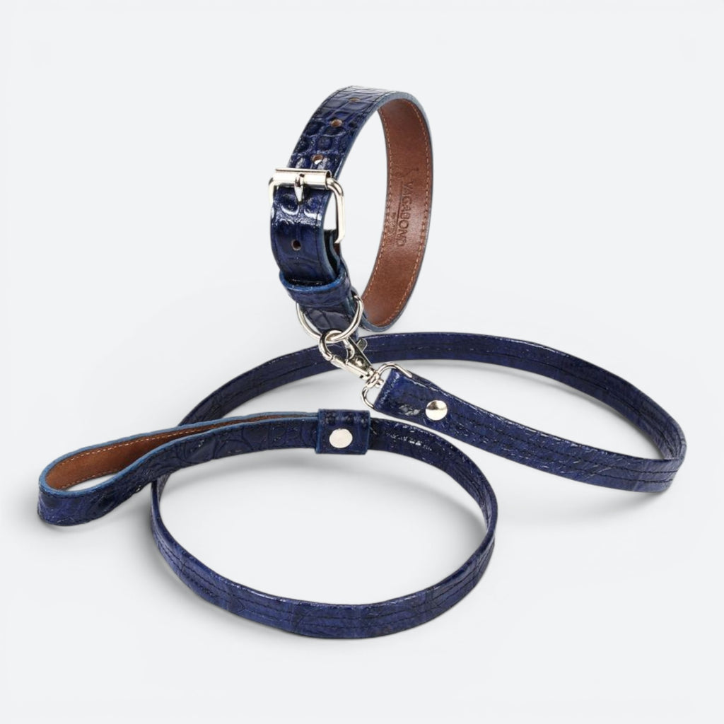 Exotic Pet Leash