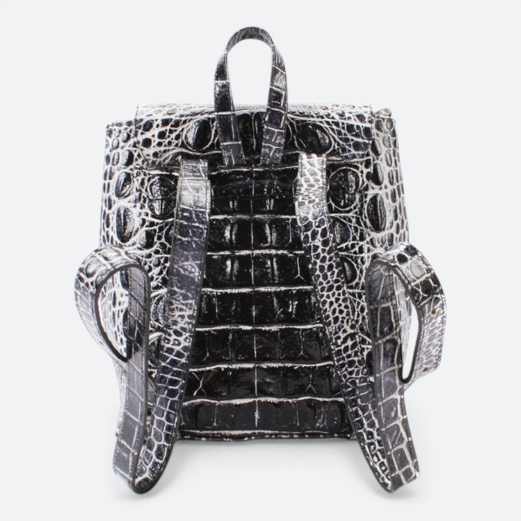 Somewhere Backpack