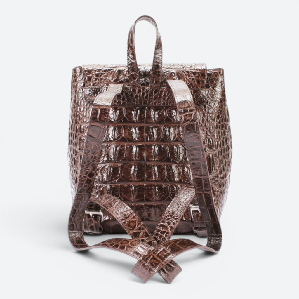Dark Brown Somewhere Backpack