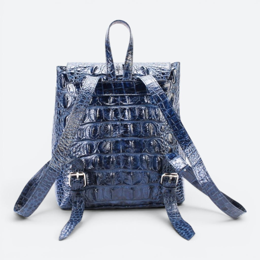 Somewhere Backpack