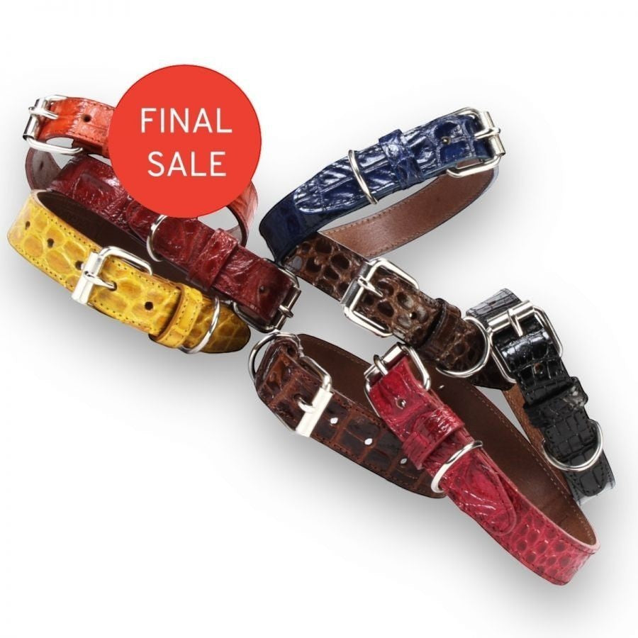 Exotic Pet Collar