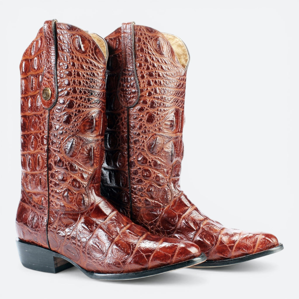 VEARI Buitre Western Boots in hornback crocodile leather, featuring a pointed toe, leather lining, and sole. Available in brown.